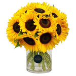 FLORERO GIRASOLES / 20 UNIDADES