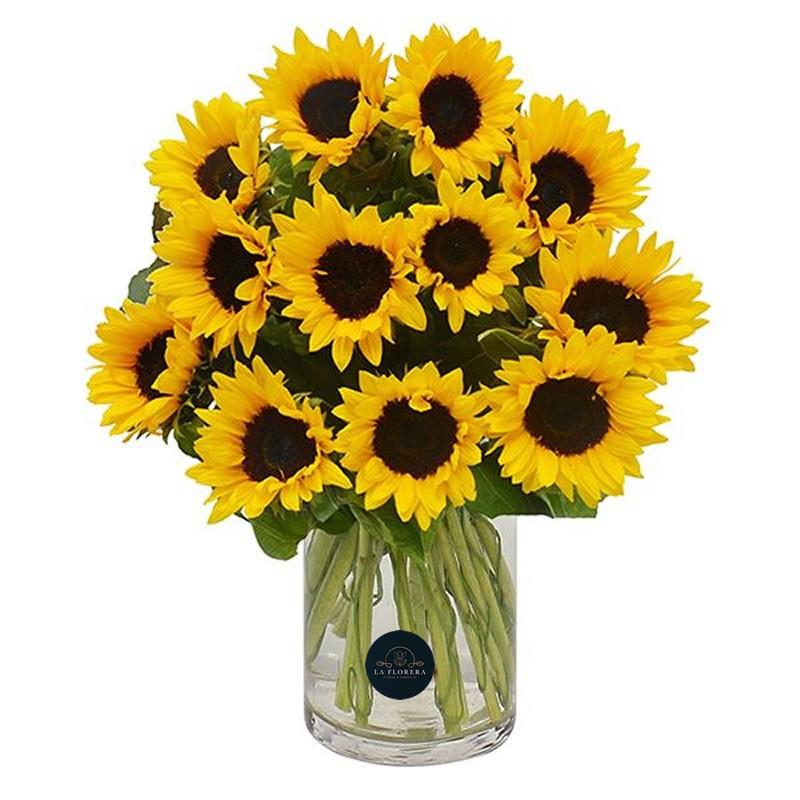 FLORERO GIRASOLES 40 VARAS