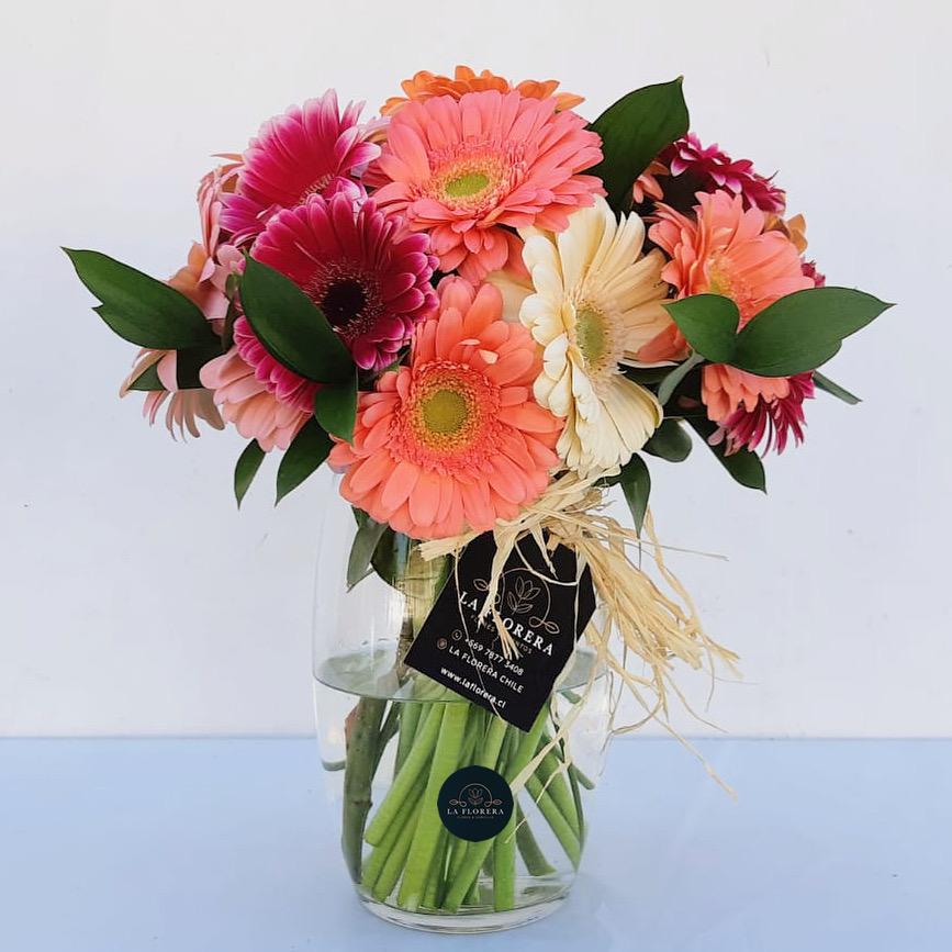 FLORERO GERBERAS MIX COLORES / 15 VARAS
