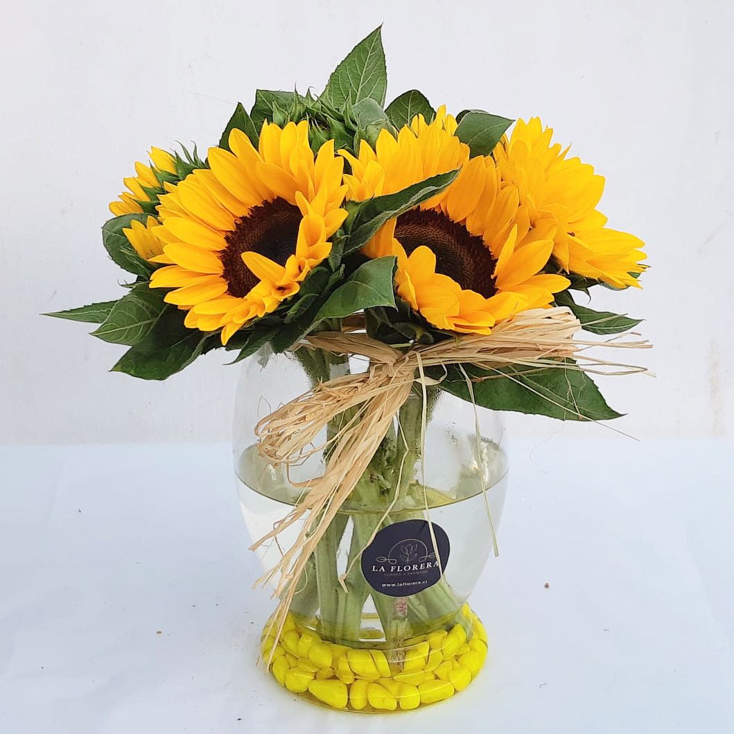 FLORERO BAJO GIRASOLES / 10 UNIDADES