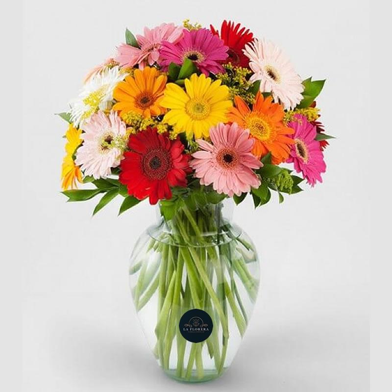 FLORERO GERBERAS MIX COLORES / 20 VARAS
