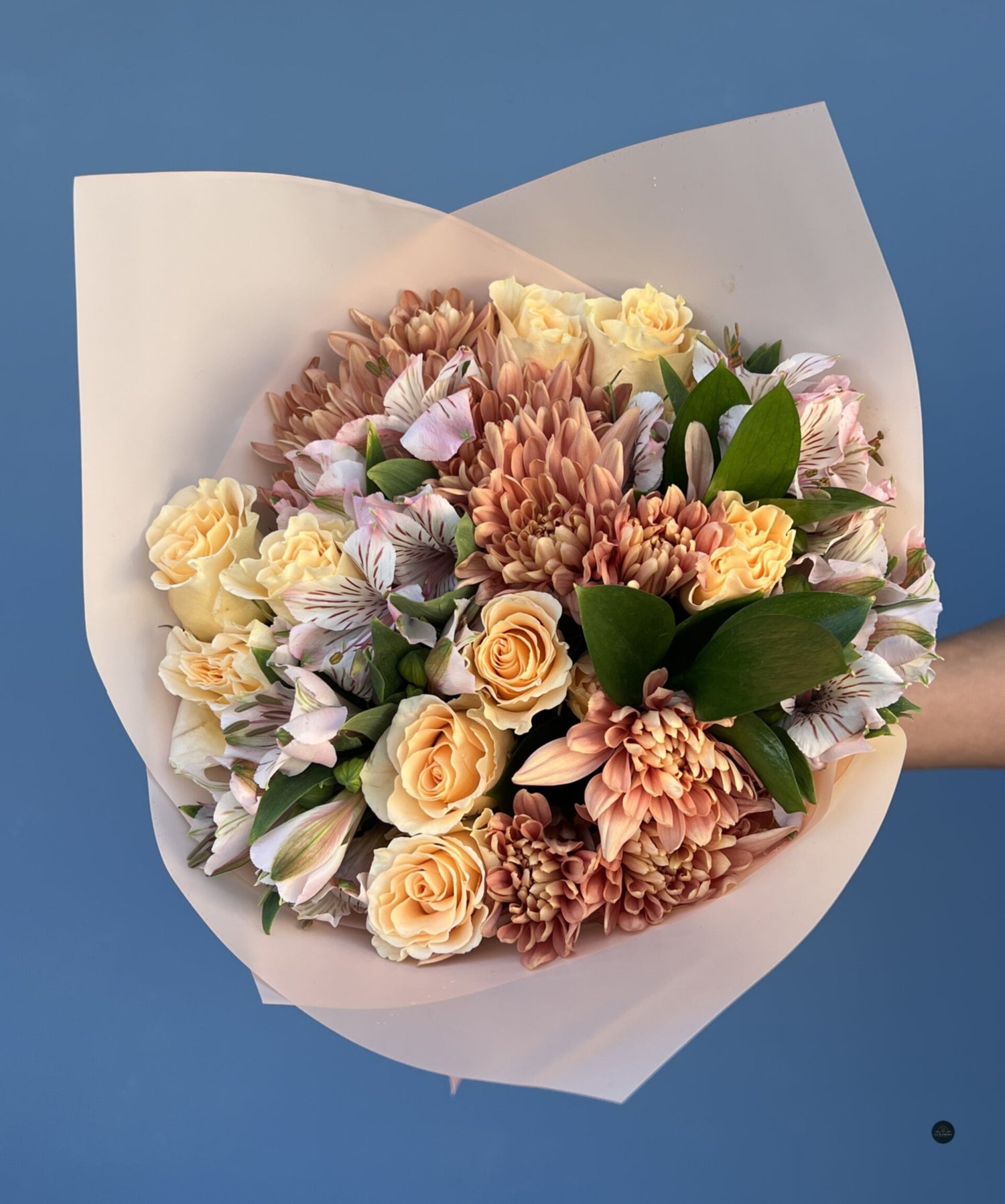 CUCURUCHO DEL DÍA CREMA