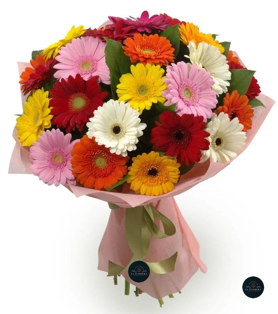 RAMO GERBERAS / 30 VARAS