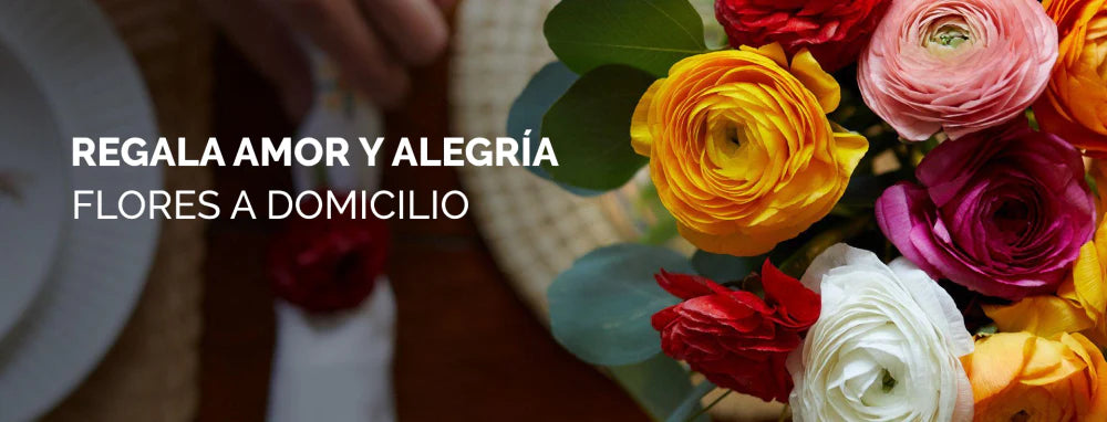 Cuidado y Conservación de Orquídeas: Un Vistazo Detallado