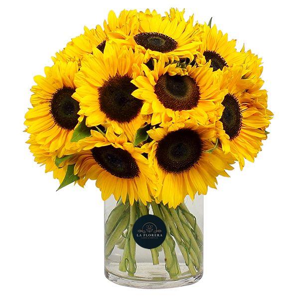 FLORERO GIRASOLES / 20 UNIDADES