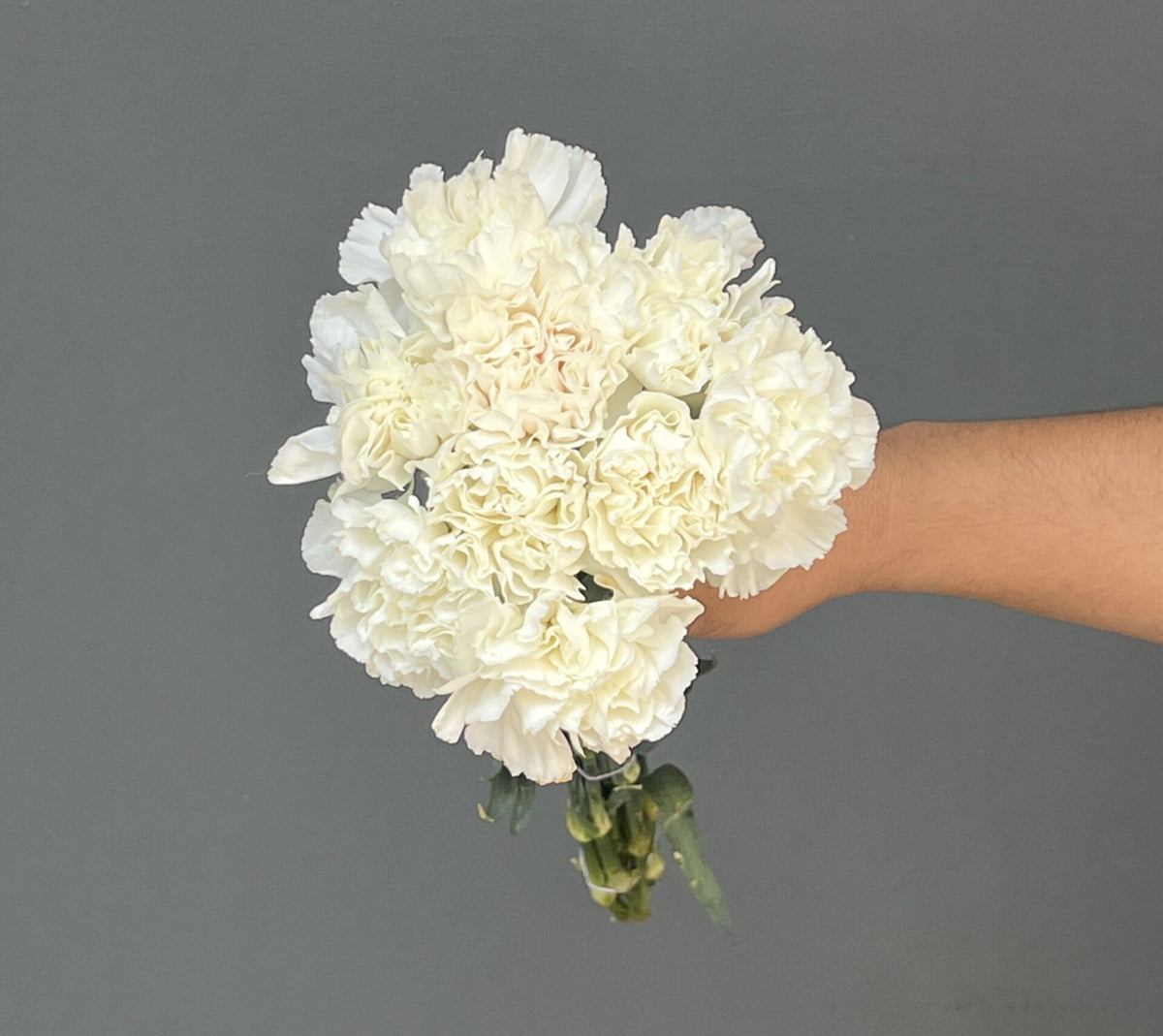 CLAVEL BLANCO 10 VARAS