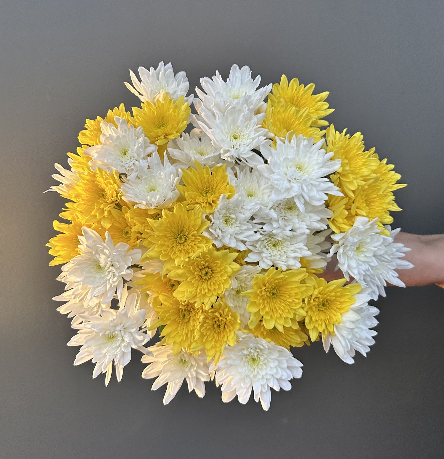 MAULE BLANCO AMARILLO 20 VARAS GRANEL