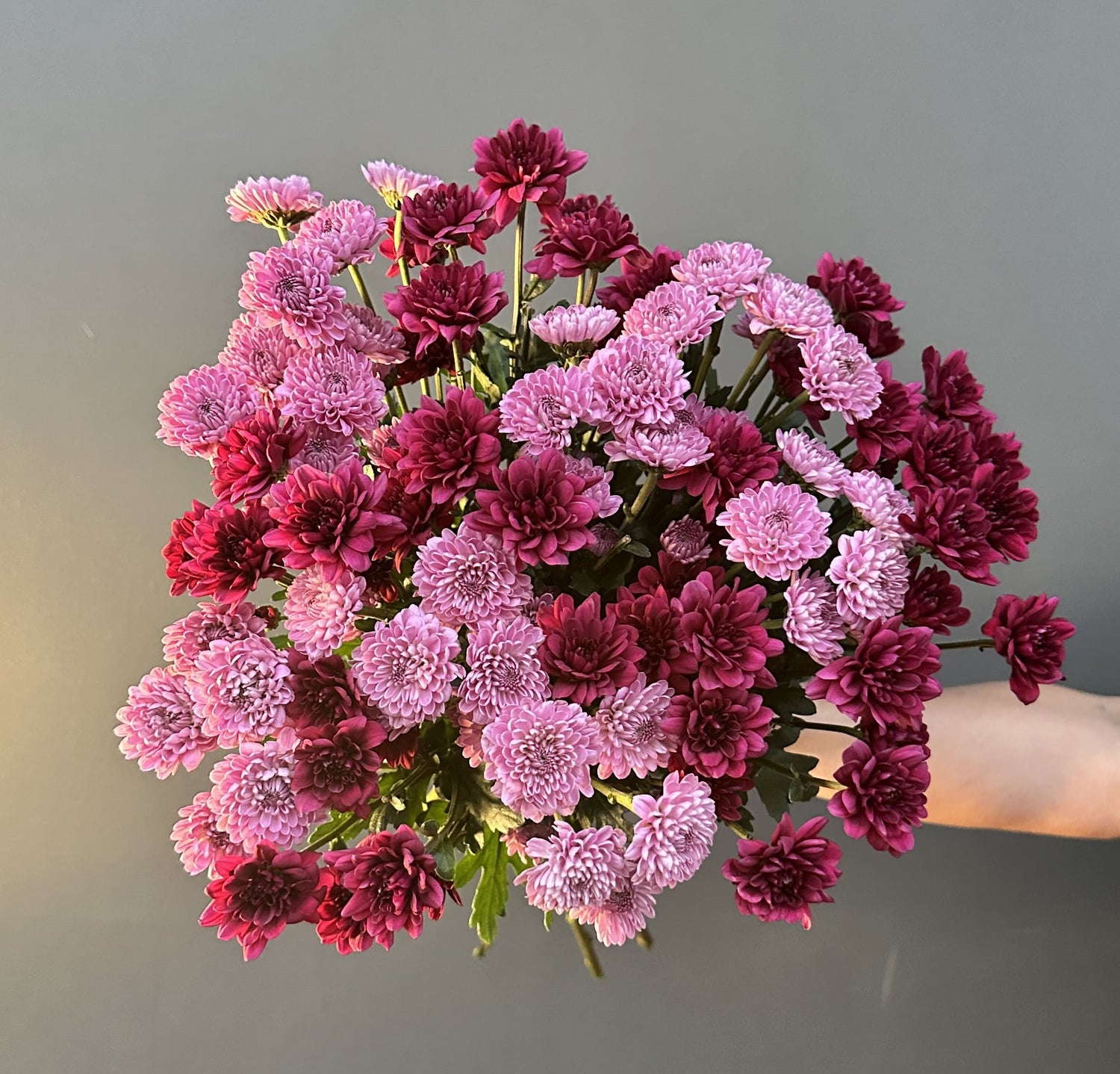 MAULE ROSADO BURDEO 20 VARAS GRANEL