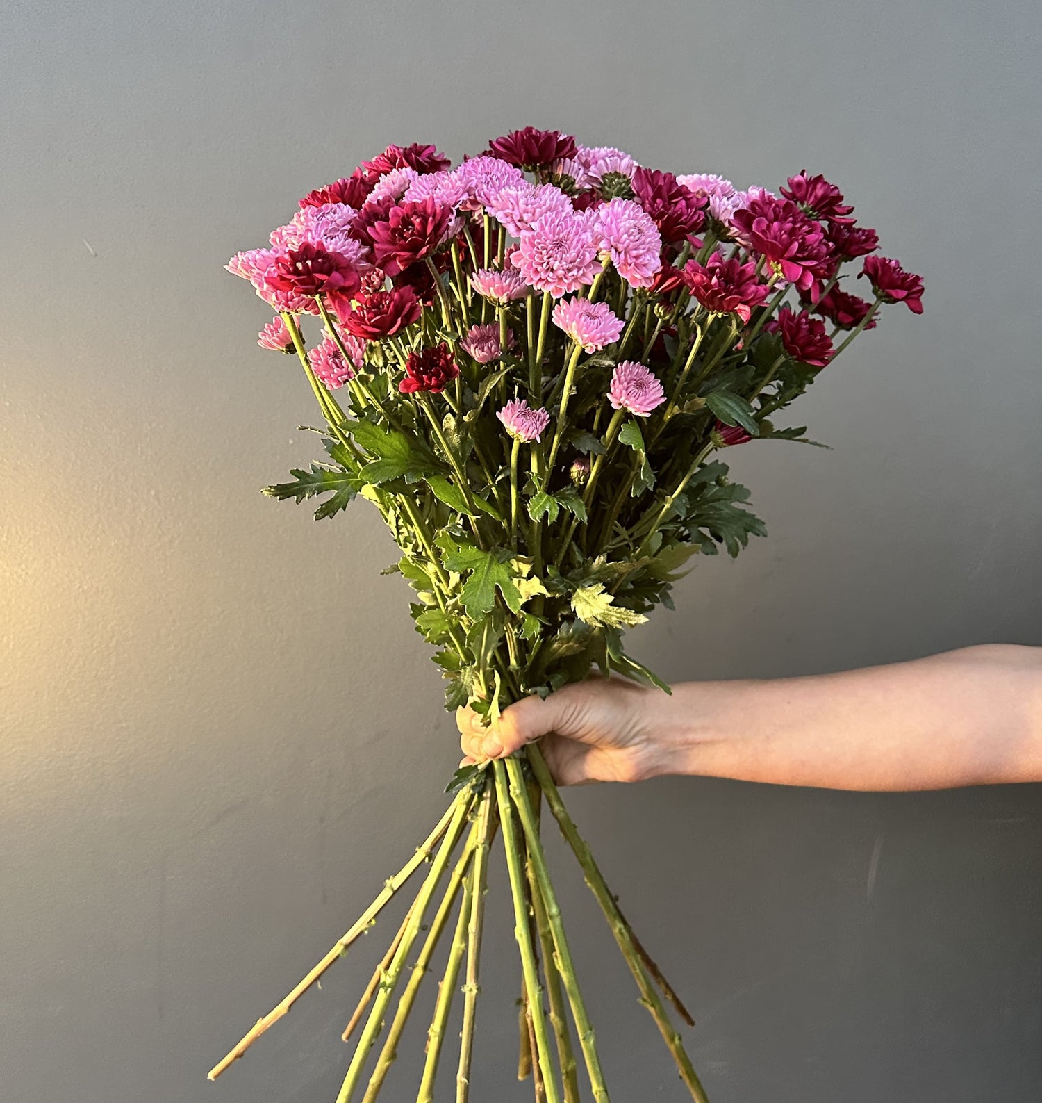 MAULE ROSADO BURDEO 20 VARAS GRANEL