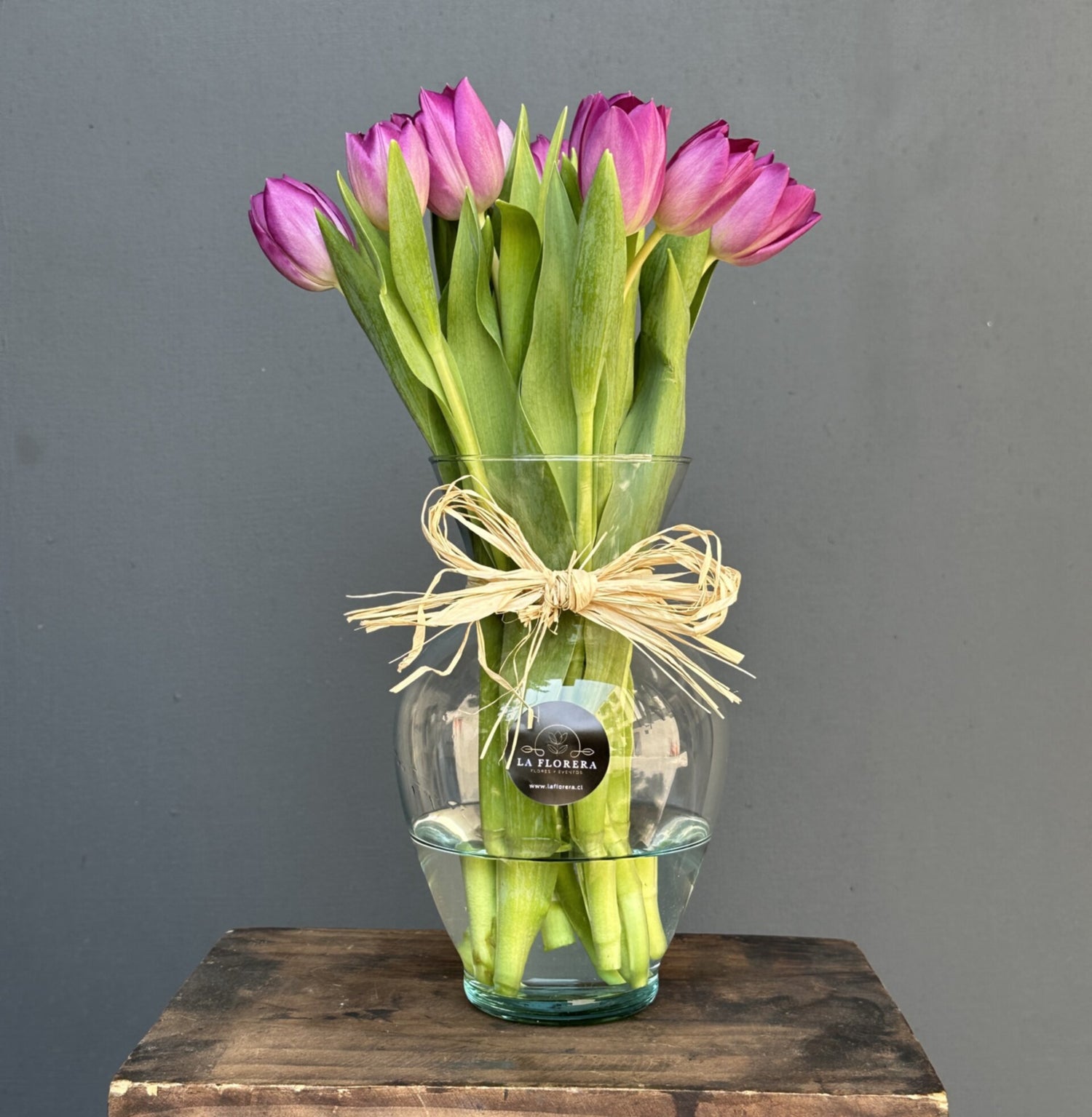 FLORERO TULIPANES MORADO 10 VARAS