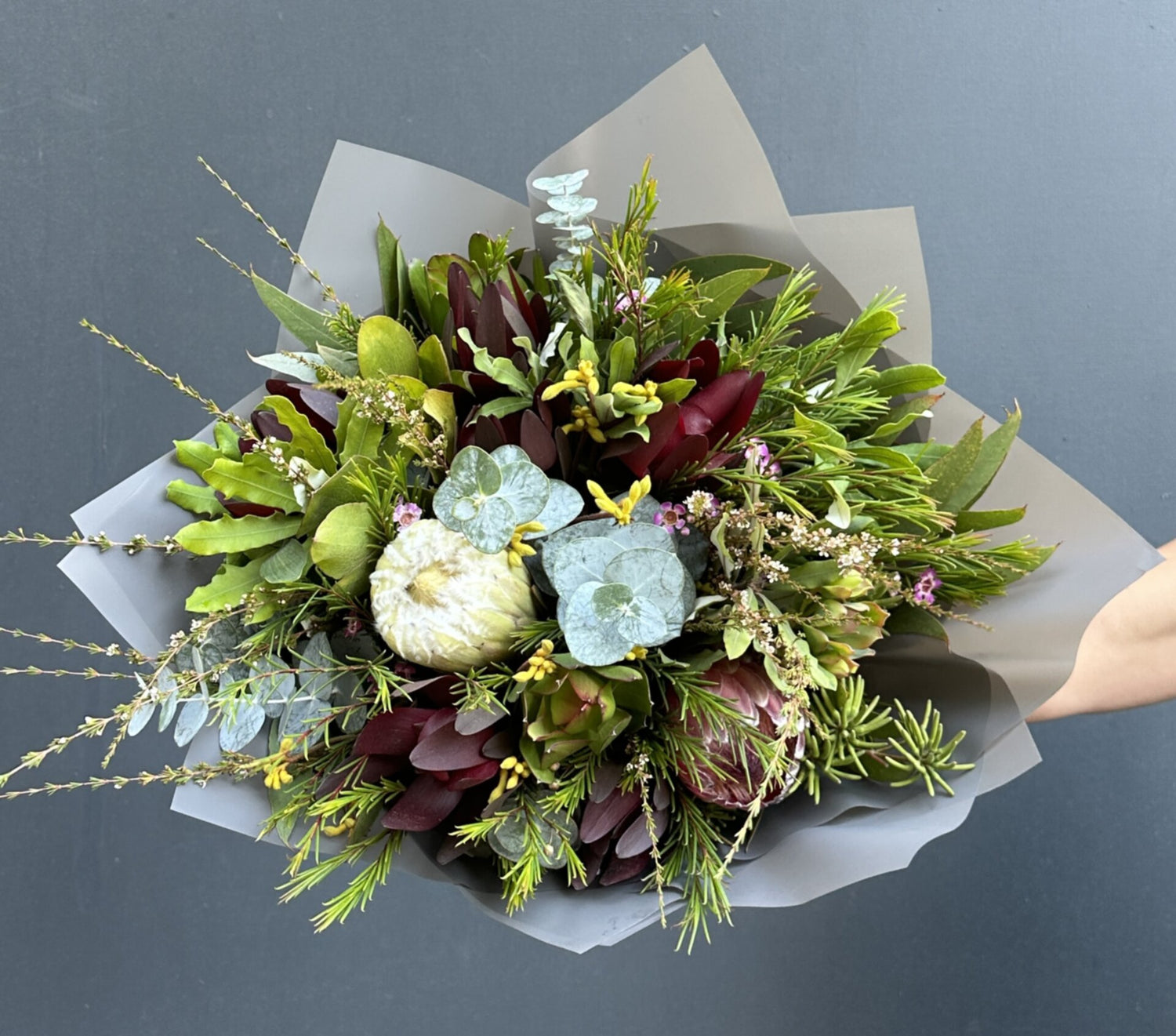 RAMO PROTEA L