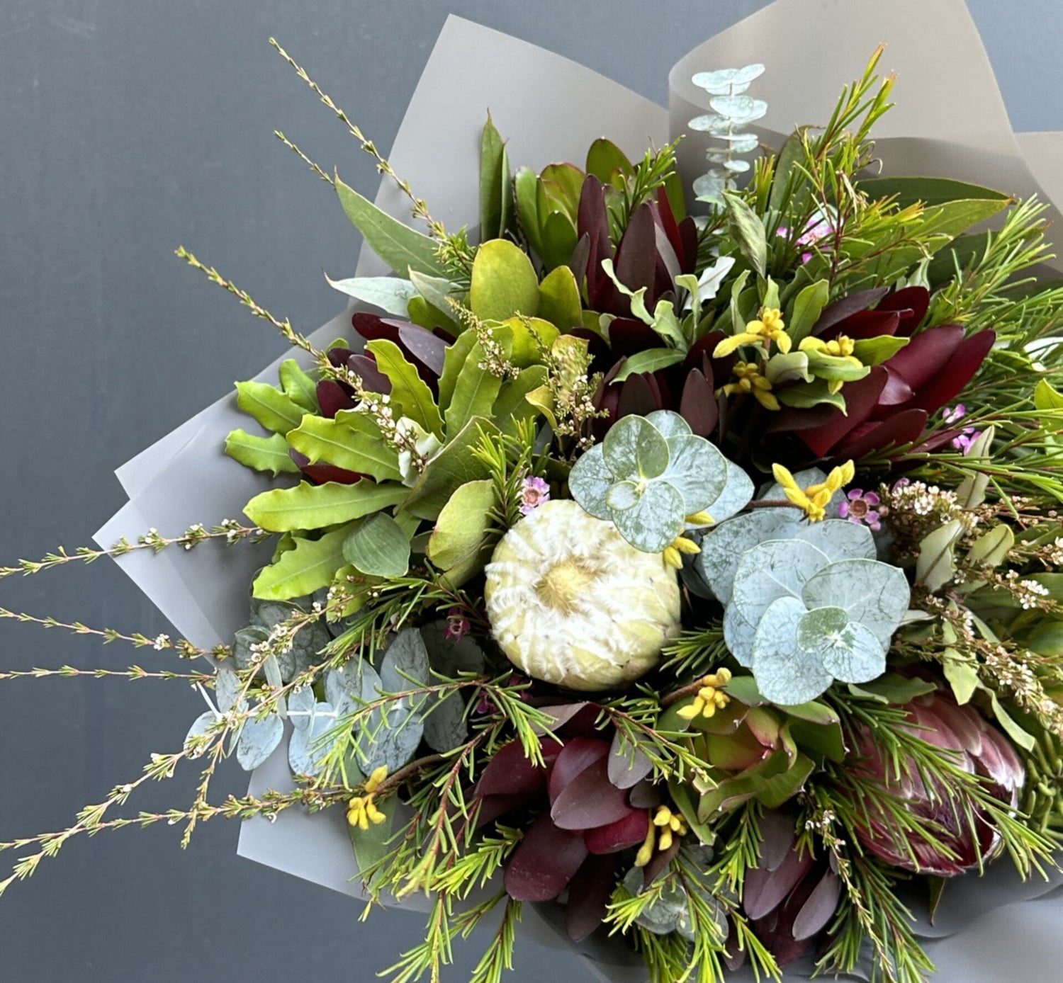 RAMO PROTEA L