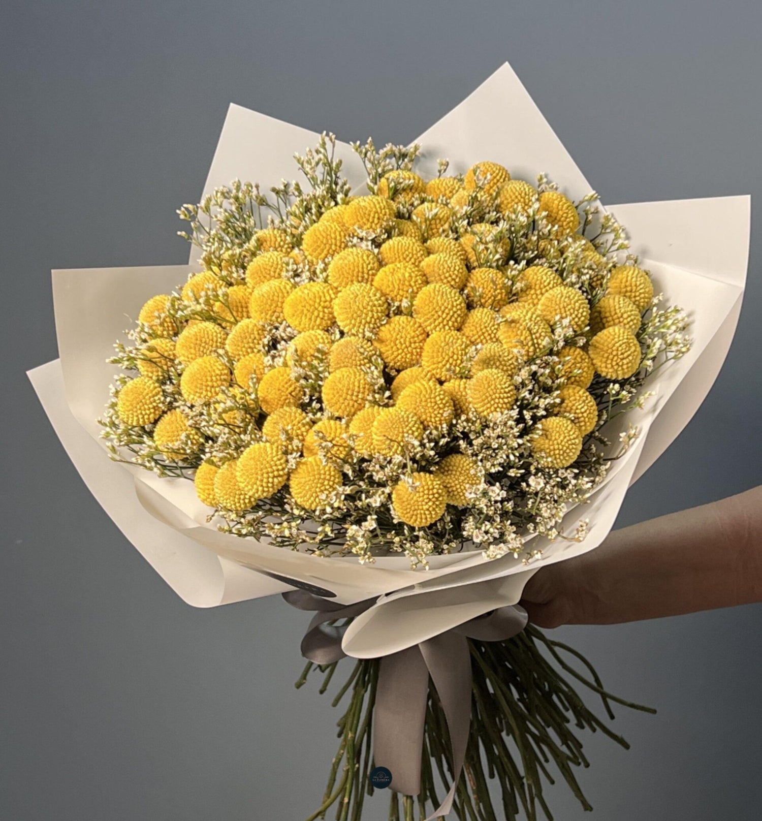 RAMO CRASPEDIAS Y LIMONIUM
