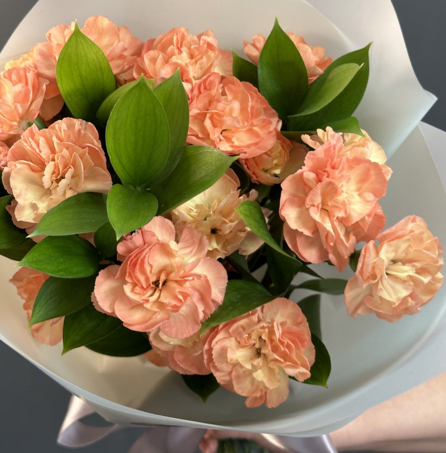 RAMO MINI CLAVEL PEACH