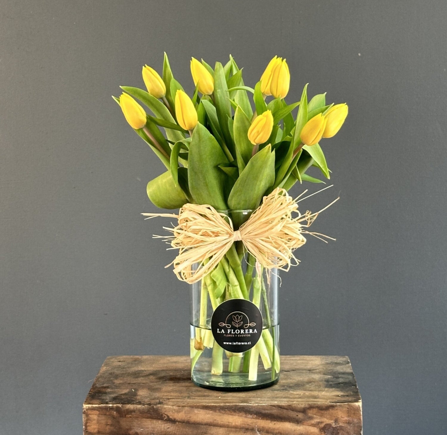 FLORERO TULIPANES AMARILLO 10 VARAS