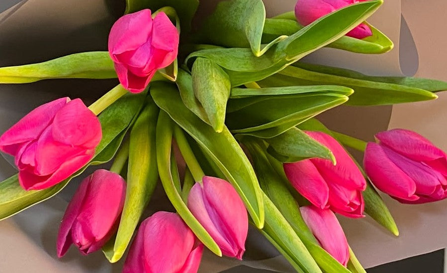 RAMO TULIPANES FUCSIA 10 VARAS